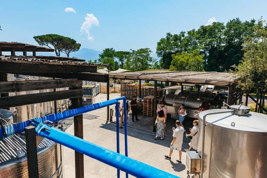 From Naples: Wine Tasting Tour on Vesuvius Slopes with Lunch - How the four-hour schedule works
