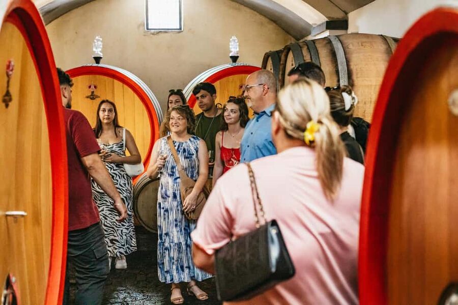 From Naples: Wine Tasting Tour on Vesuvius Slopes with Lunch - Should you book it?