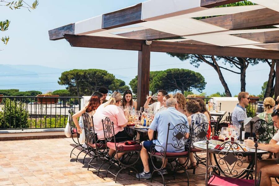 From Naples: Wine Tasting Tour on Vesuvius Slopes with Lunch - What makes Vesuvius wine different