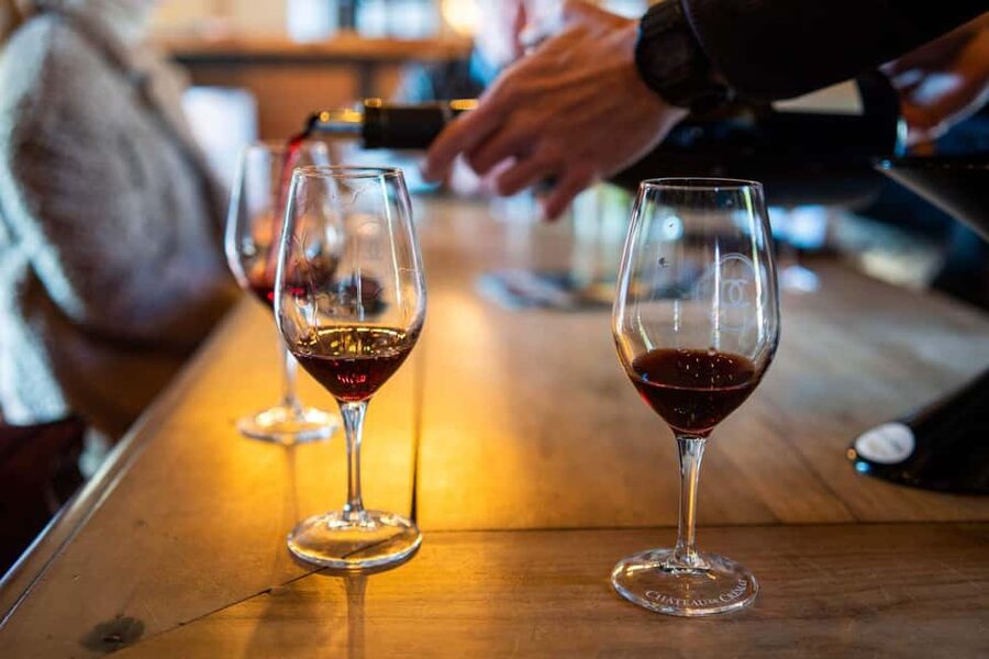 From Nice: Cannes, Saint Paul de Vence and Wine Tasting - Cannes: A Quick Look at Riviera Glamour