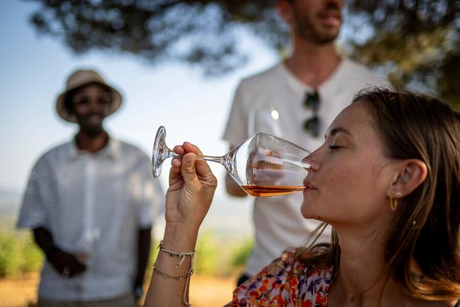 From Nice: Provence Wine Full-Day Tour - The second estate: vines, family tradition, and local art