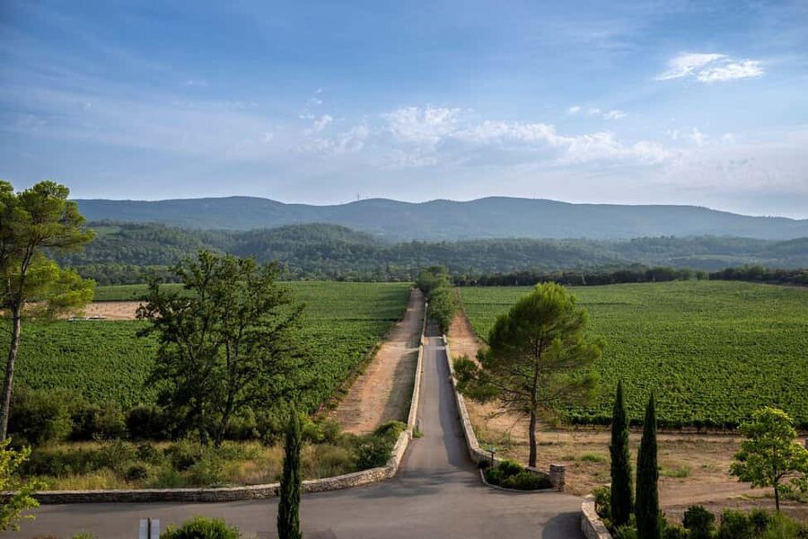 From Nice: Provence Wine Full-Day Tour - The wines: rosé is only the beginning