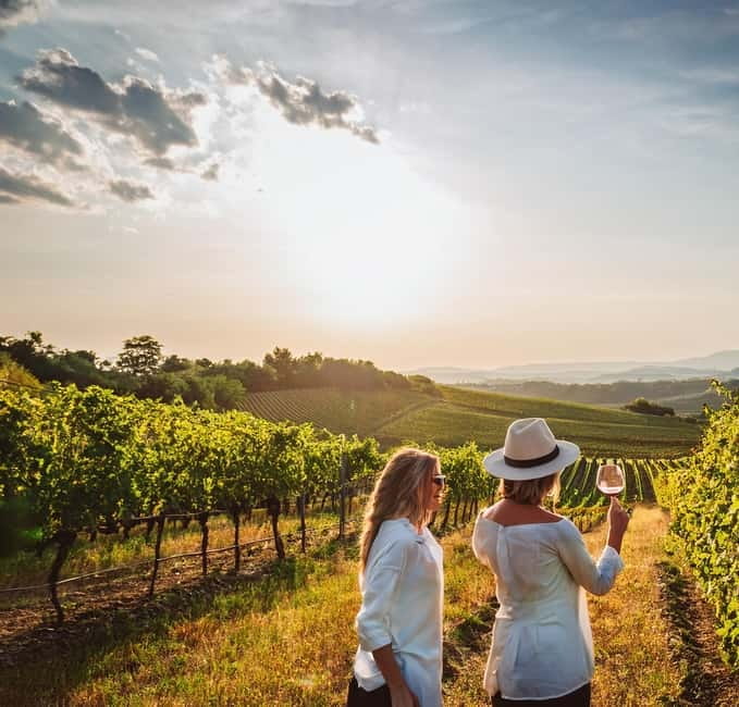 From Palma de Mallorca: Private Wine and Local Flavors Tour - Key points to know before booking