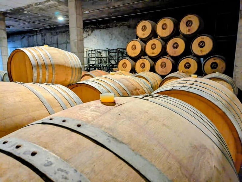 From Palma de Mallorca: Private Wine and Local Flavors Tour - Why this short tour works well from Palma