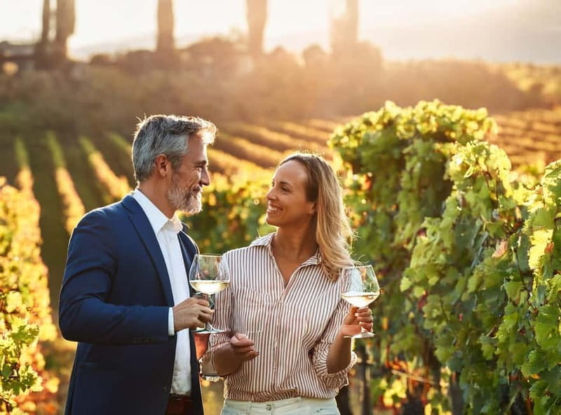 From Palma de Mallorca: Private Wine and Local Flavors Tour - Reaching a historic Mallorca winery
