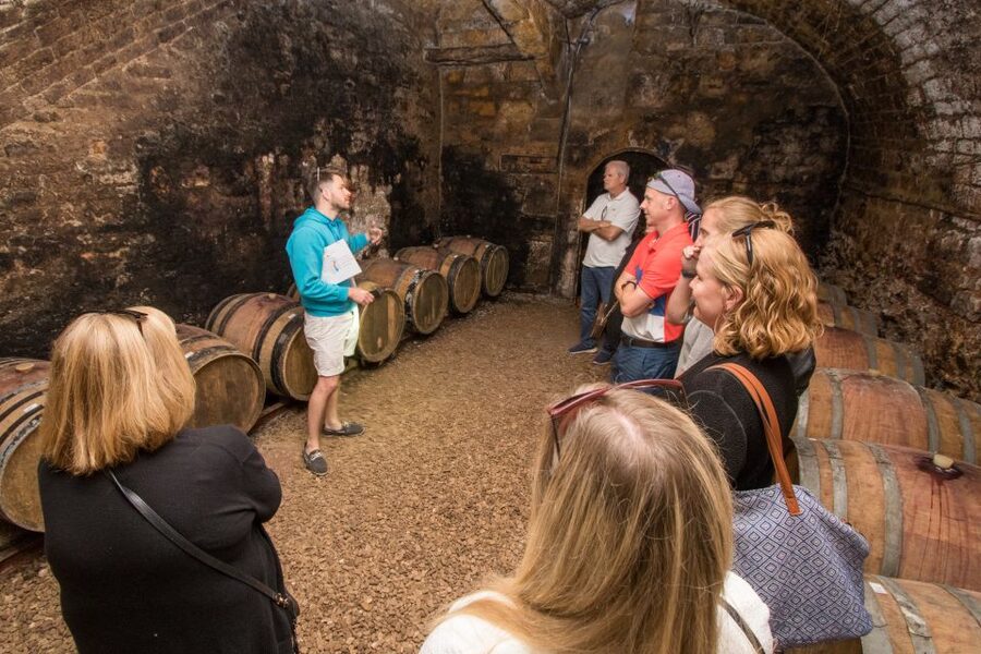 From Paris: Burgundy Region Winery Tour with Tastings - Lunch in the Town of Chablis