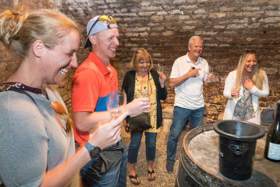 From Paris: Burgundy Region Winery Tour with Tastings - Second Stop: A Family Cellar at Domaine Bersan
