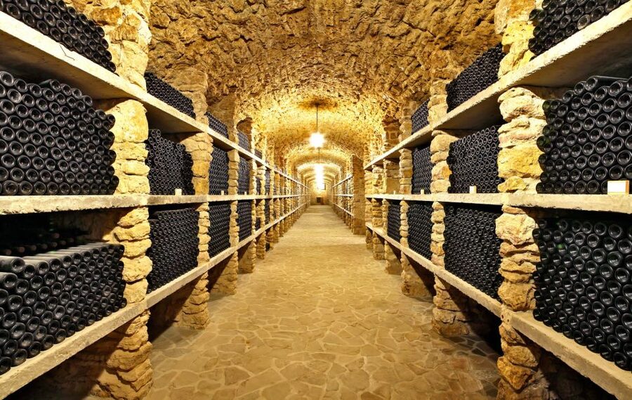 From Paris: Burgundy Region Winery Tour with Tastings - What You Actually Taste