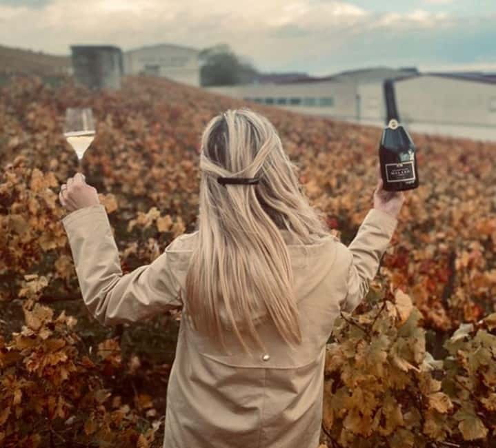 From Paris: Champagne Day Trip with 7 Tastings and Lunch - Why the contrast between producers matters