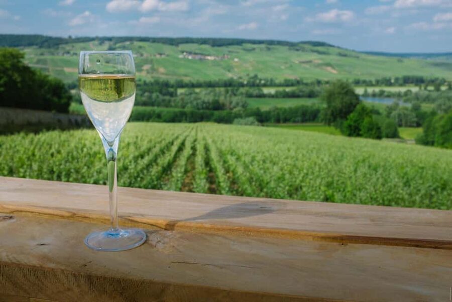 From Paris: Champagne Day Trip with 7 Tastings and Lunch - The guide can make or break a long day