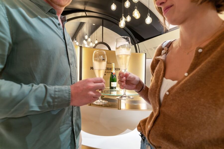 From Paris: Day Trip to Champagne with 8 Tastings & Lunch - Who should book this Champagne day trip?