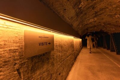 Day Trip to Champagne with 8 Tastings & Lunch