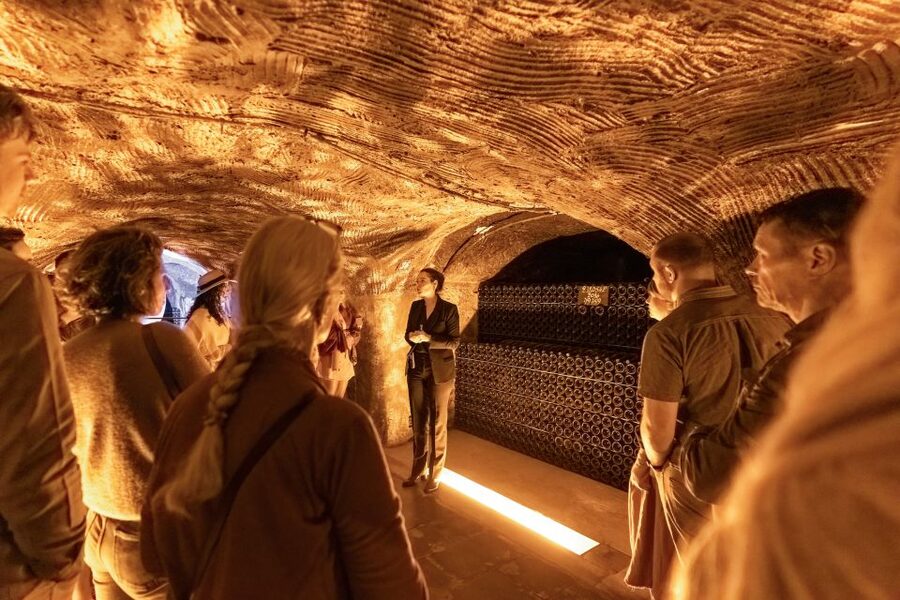 From Paris: Day Trip to Champagne with 8 Tastings & Lunch - The smaller producer and cooperative experience