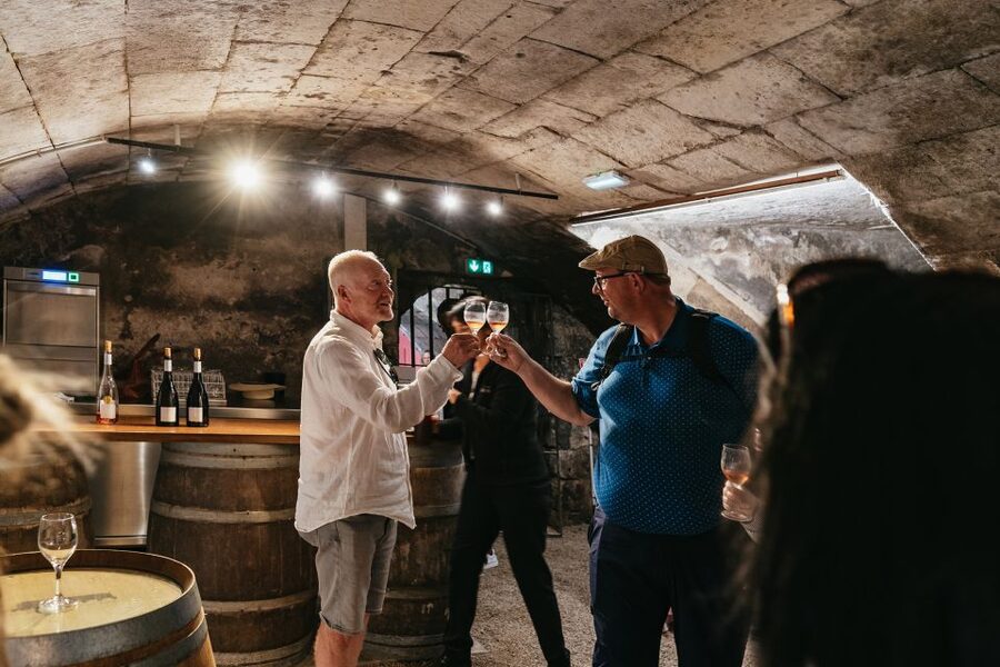 From Paris: Loire Valley Castles Day Trip With Wine Tasting - Practical advice for making the day easier