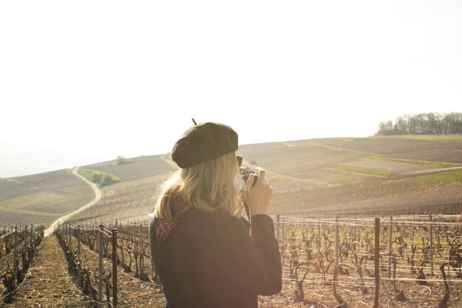 From Paris: Reims and Champagne Tasting Full-Day Tour - Who should book this Champagne day trip?