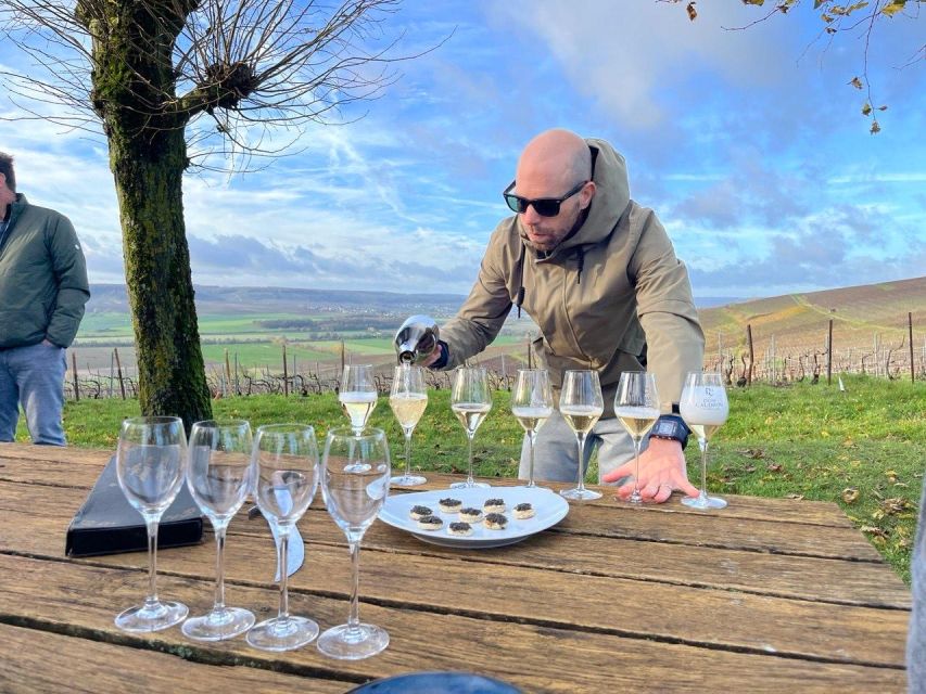 From Paris: Reims and Champagne Tasting Full-Day Tour - Vineyard views and a blind tasting in the Marne