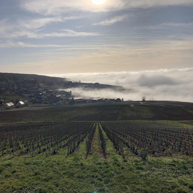From Paris: Reims and Champagne Tasting Full-Day Tour - Is $411 a fair price?