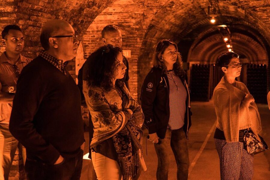 From Paris: Small-Group Champagne Day Trip with Six Tastings - What the minibus and guide add