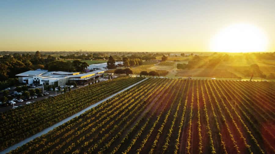 From Perth: Swan Valley Cruise, Winery, Cheese & Lunch - The Swan River journey to the wine region