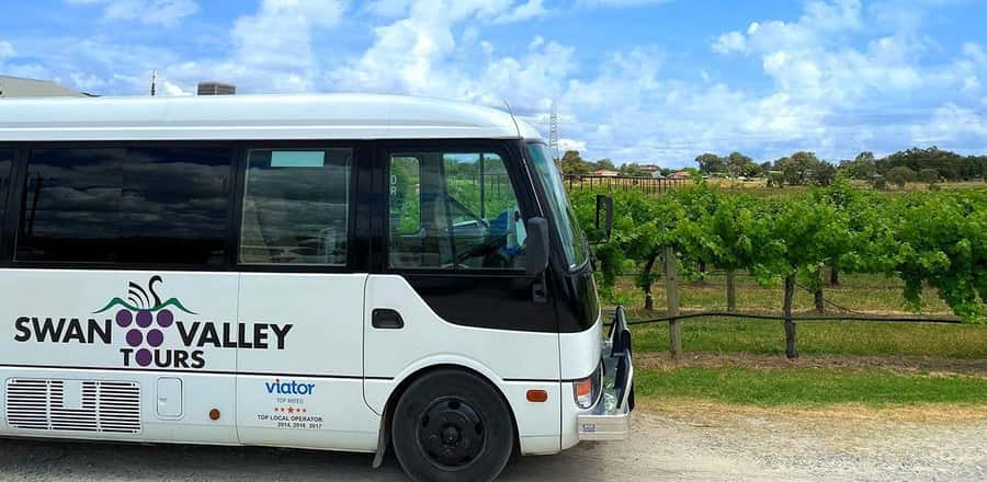 From Perth: Swan Valley Winery & Brewery Day Tour With Lunch - Key points to know before booking
