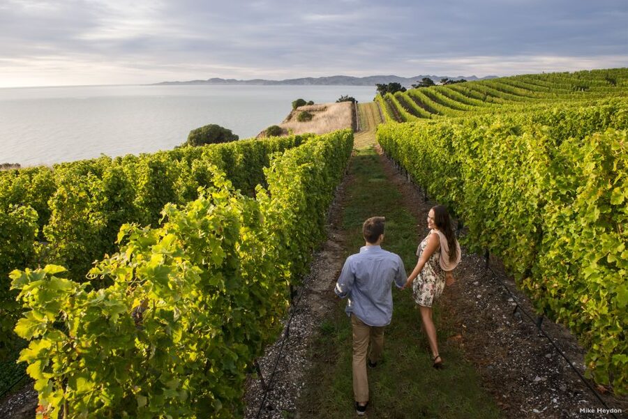 From Picton: Marlborough Wine Trip Shore Excursion - What the $146 price really covers