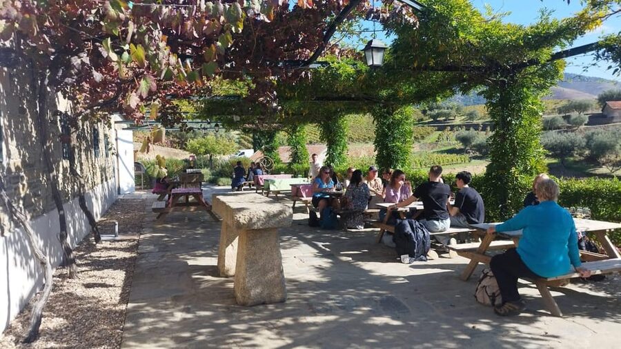From Pinhão: Douro Valley Tour w/ Wine Tasting and Boat Trip - The 15-minute viewpoint stop