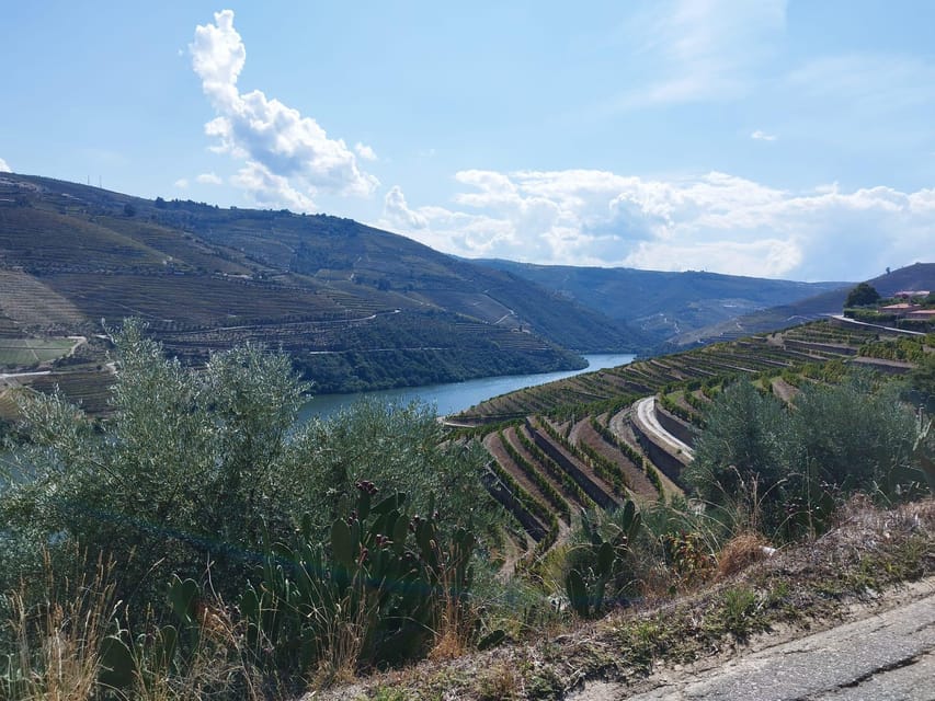From Pinhão: Douro Valley Tour w/ Wine Tasting and Boat Trip - Guides who shape the experience