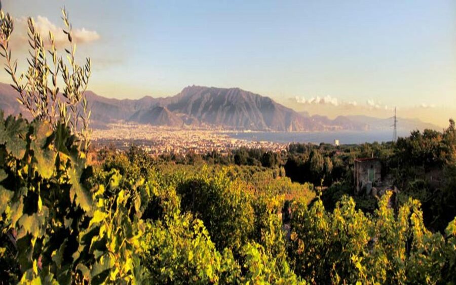 From Pompeii: Mount Vesuvius Wine Tasting and Lunch - FAQ