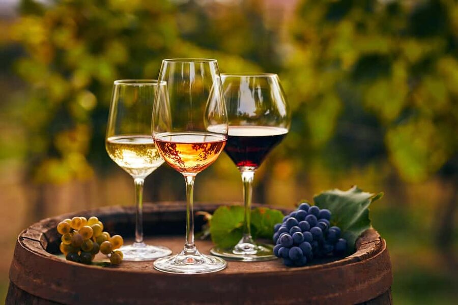 From Pompeii: Mount Vesuvius Wine Tasting and Lunch - A family winery on the slopes of Vesuvius