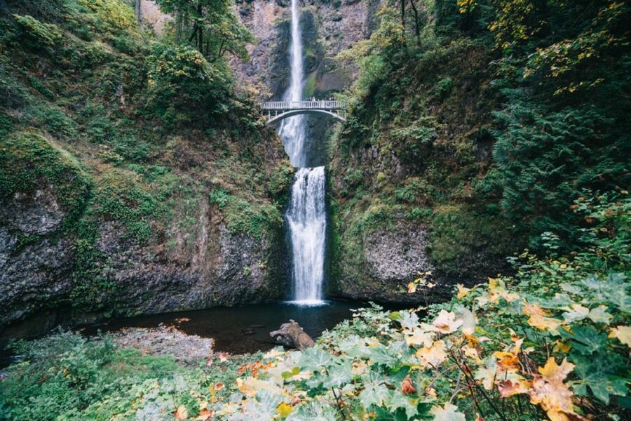 From Portland: Waterfalls, Mt Hood, and Wine Day Tour - Who should book this day tour?