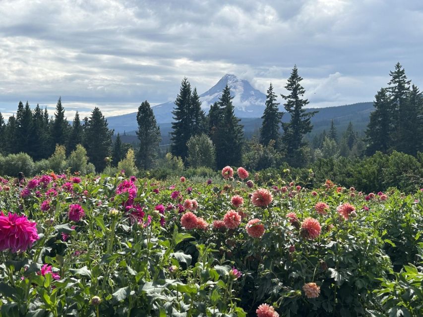 From Portland: Waterfalls, Mt Hood, and Wine Day Tour - Timberline Lodge and the upper slopes of Mt. Hood