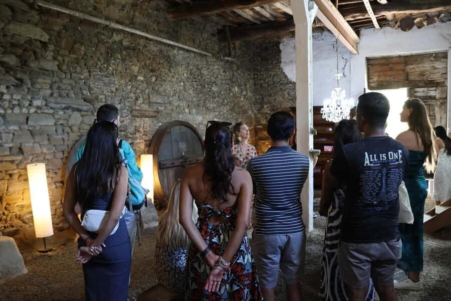 From Porto: 2 Boutique Wineries w/ Winery Lunch & 1-h cruise - The N222 and the long lunch stop
