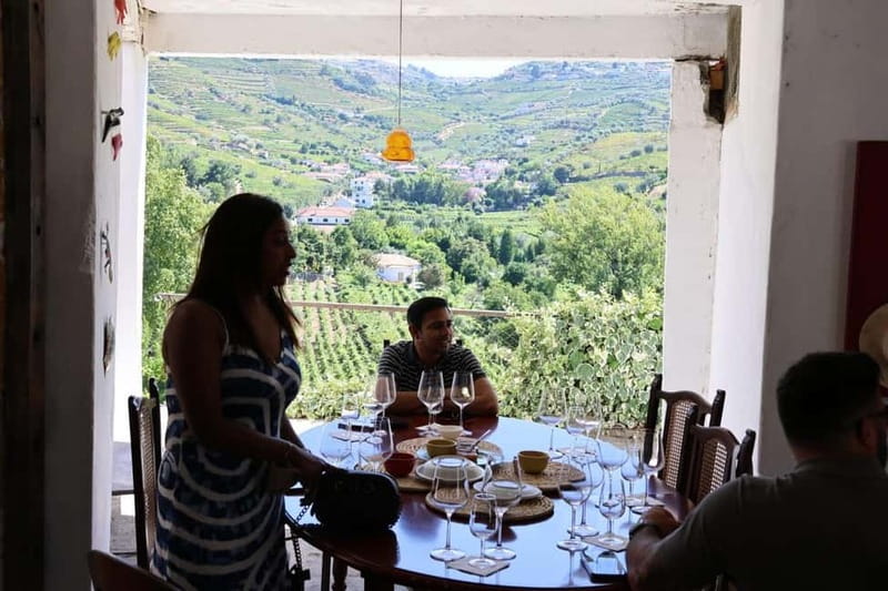 From Porto: 2 Boutique Wineries w/ Winery Lunch & 1-h cruise - Guides can make or break a long day