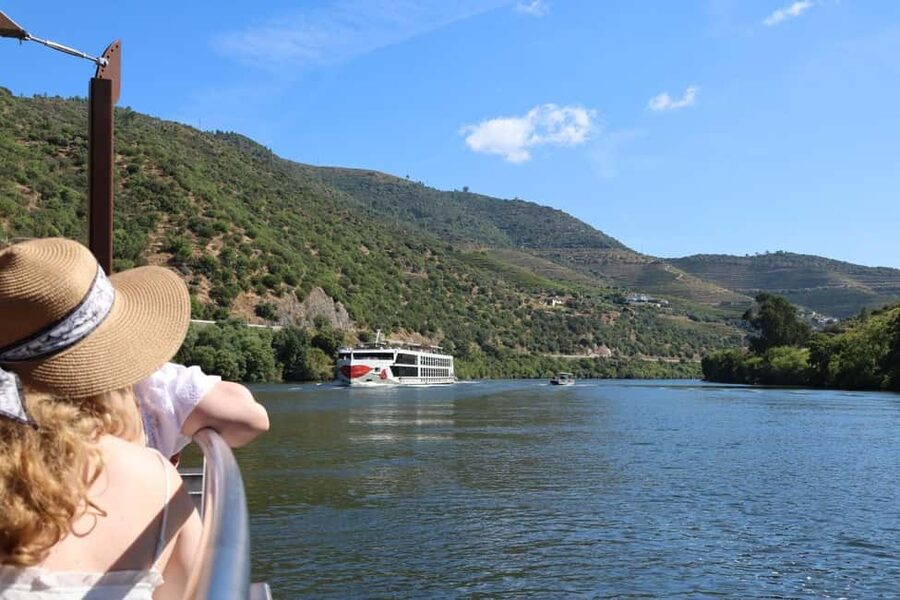 From Porto: 2 Boutique Wineries w/ Winery Lunch & 1-h cruise - Price, group size, and what you receive