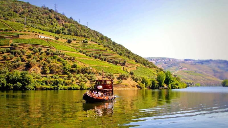 From Porto: 2 Wine Regions, Farm Lunch, and Boat Ride - Key points at a glance