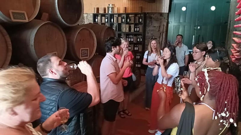 From Porto: 2 Wine Regions, Farm Lunch, and Boat Ride - The first family-run winery and tasting