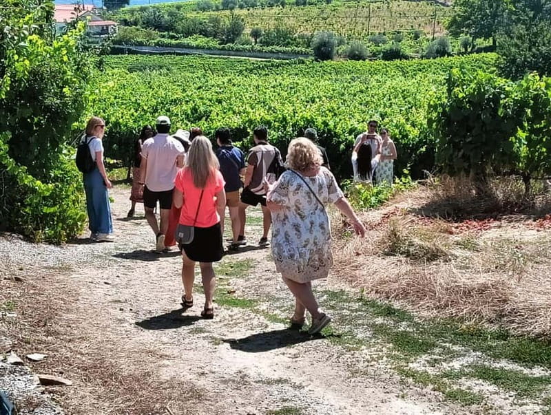 From Porto: 2 Wine Regions, Farm Lunch, and Boat Ride - The drive into Portugal’s wine country