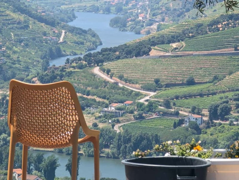 From Porto: 2 Wine Regions, Farm-to-Table Lunch & Boat - A family winery lunch above the Douro