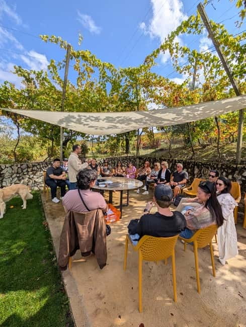 From Porto: 2 Wine Regions, Farm-to-Table Lunch & Boat - How much value do you get for $94?