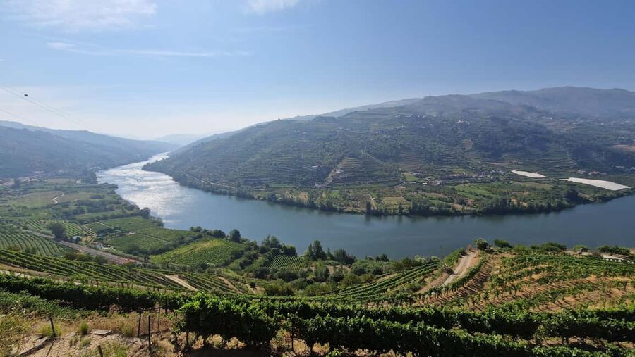 From Porto Day Douro Valley Wine Tour 2 Wine Tasting & Lunch - The Douro day in five useful points