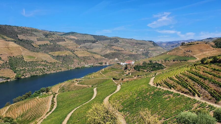 From Porto Day Douro Valley Wine Tour 2 Wine Tasting & Lunch - What the $147 price really covers