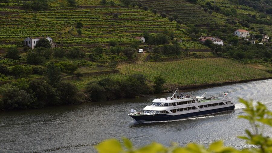 From Porto: Douro River Cruise, Winery Visit & Lunch - The two-hour coach ride back to Porto