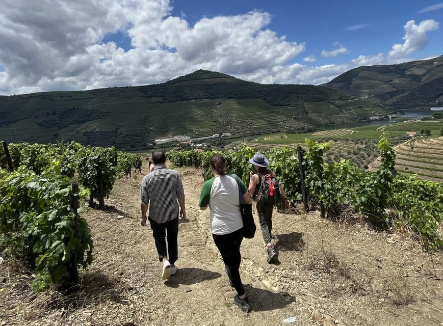 From Porto : Douro Valley sightseeing with 1 Winery Visit - Pinhão: 90 minutes and one important choice