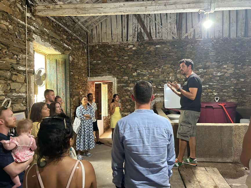 From Porto : Douro Valley sightseeing with 1 Winery Visit - How much time do you really get?