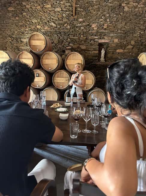 From Porto : Douro Valley sightseeing with 1 Winery Visit - Who should book this Douro day?