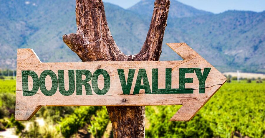 From Porto: Douro Valley w/ Boat Tour, Wine Tasting & Lunch - Is the $82 price good value?