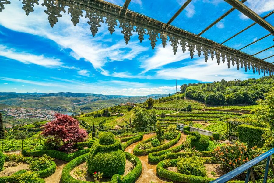 From Porto: Douro Valley w/ Boat Tour, Wine Tasting & Lunch - The second cellar and a final taste of Port