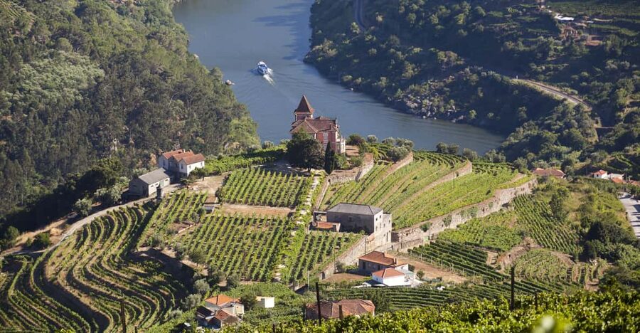 From Porto: Premium Douro Valley Small-Group Wine Tour - Five things that make this Douro tour worth considering