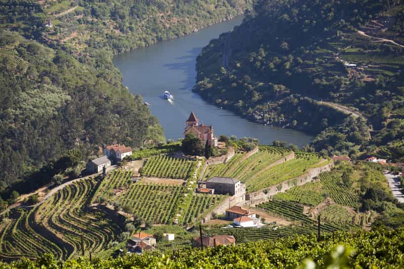 From Porto: Premium Douro Valley Small-Group Wine Tour - The first winery visit and the foundations of Douro wine