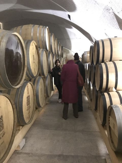 From Porto: Private Douro Valley Tour with Cruise and Wine - Two wineries, two different views of wine